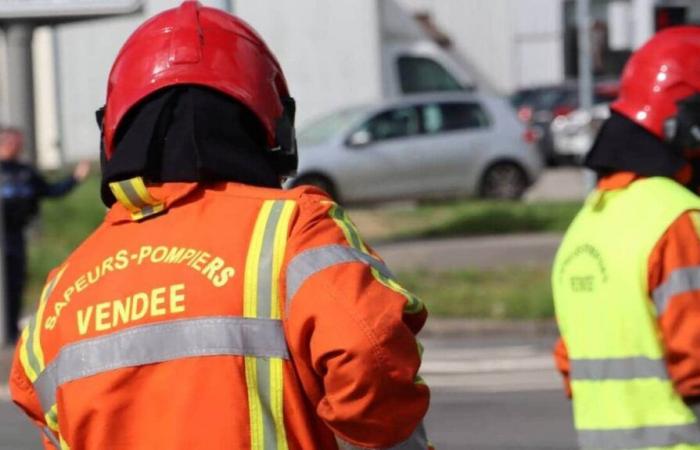 Hit by a car, a 15-year-old girl seriously injured and airlifted to Vendée