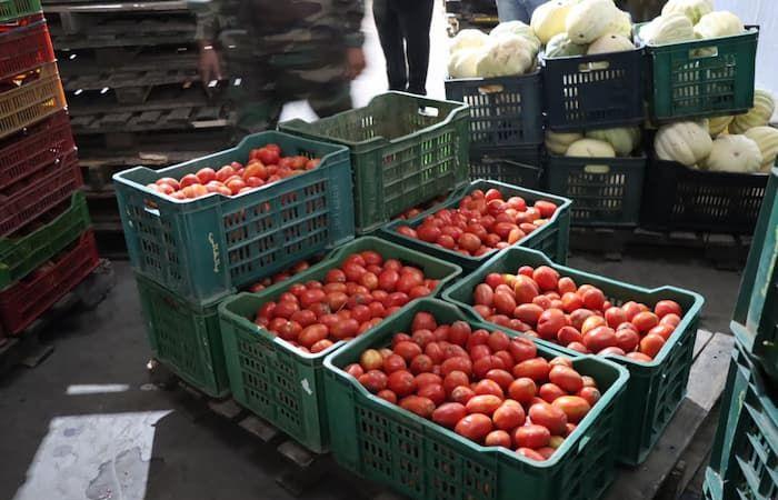 A 146% increase in tomato prices over one year