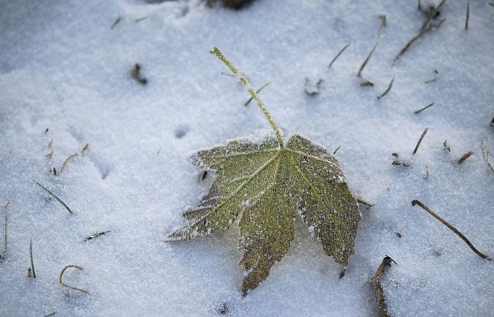 The first snow is expected in the plains on Wednesday