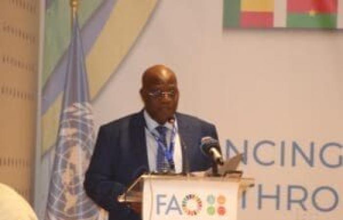 The 16th FAO multidisciplinary meeting opens in Cabo Verde | APAnews