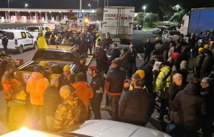 DIRECT. Anger of farmers: around a hundred wine growers in Béziers, heading to the Boulou toll… follow the day of mobilization