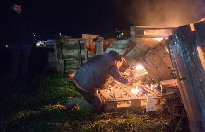 Anger of farmers: the Mercosur ratification project sets Montauban ablaze