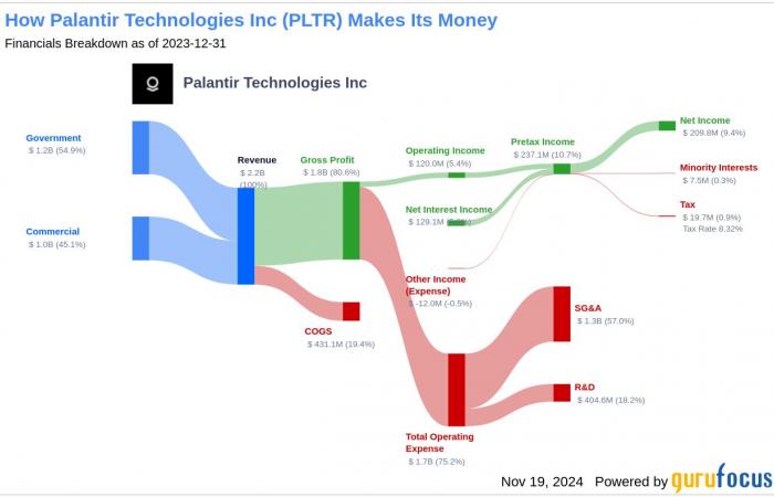 Is Palantir Technologies Inc (PLTR) Set to Underperform? Analyzi