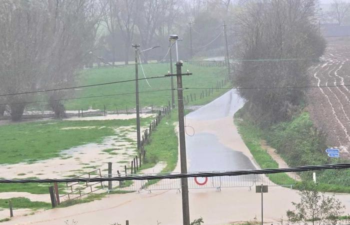 Runoff from the fields, affected houses: floods surprise the Brainois villages (PHOTOS)