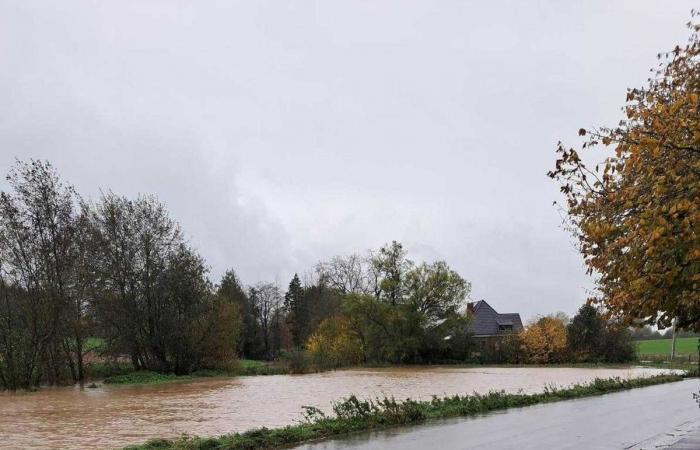 Runoff from the fields, affected houses: floods surprise the Brainois villages (PHOTOS)