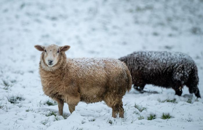 snow warning as ‘first taste of winter’ bites