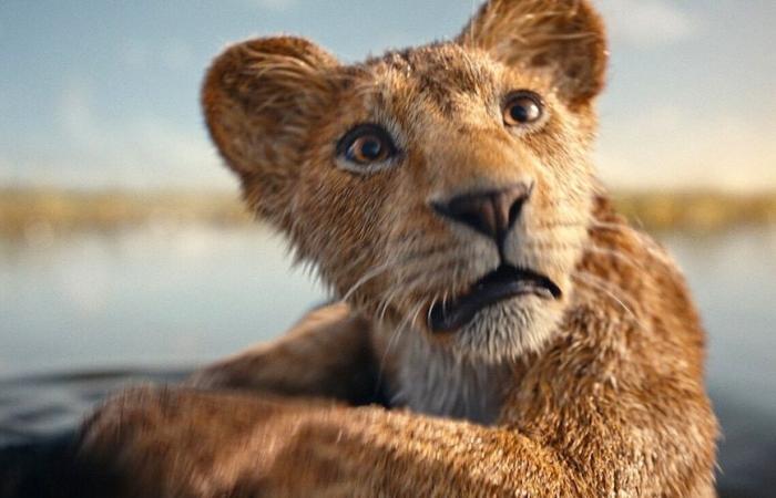 Final trailer for ‘Mufasa: The Lion King’ features epic adventure: Watch here