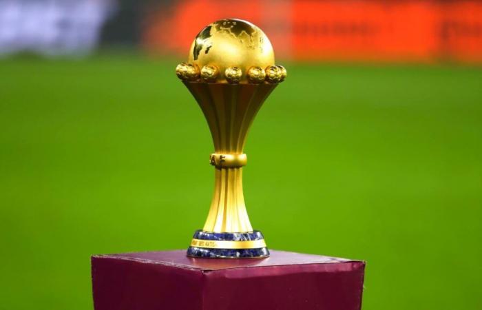 the 24 qualified for the next African Cup, with one major absentee