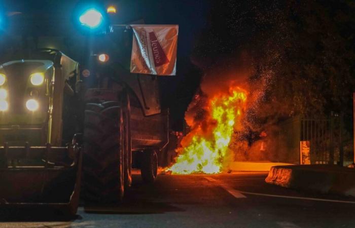 Nîmes: angry farmers take action – News – Agricultural crisis – Nîmes