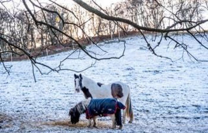 Weather UK live: Travel chaos and schools closures mount as up to 15cm more snow expected to fall