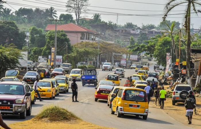 Cameroon: market prices explode in Buea in the English-speaking zone – SOCIÉTÉ