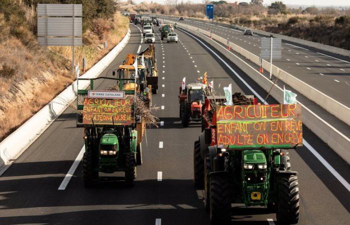 DIRECT. Angry farmers: Macron opposed to the Mercosur agreement “as it stands”, difficult traffic conditions on the A9, follow the day of mobilization on lindependant.fr