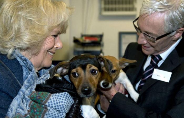 The British royal family announces the death of Beth, one of Queen Camilla’s dogs