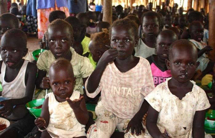 famine enters today’s agenda via the Holy See – Swiss Catholic Portal