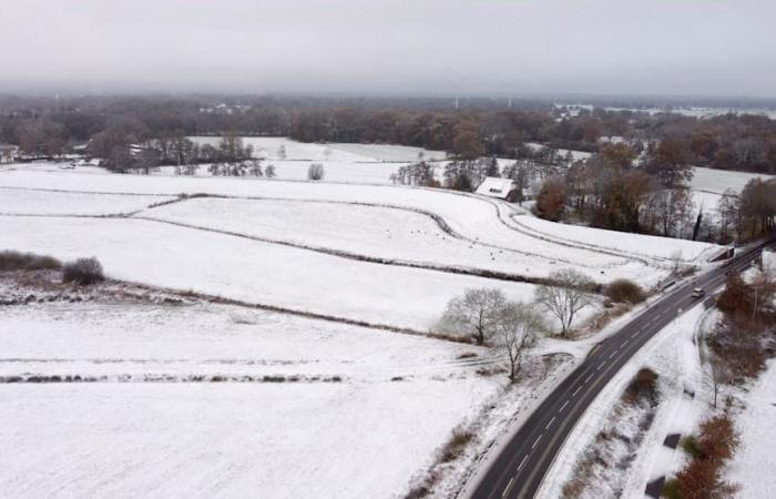 Weather: Now winter is here! This is how it continues with snow, storms and black ice | News