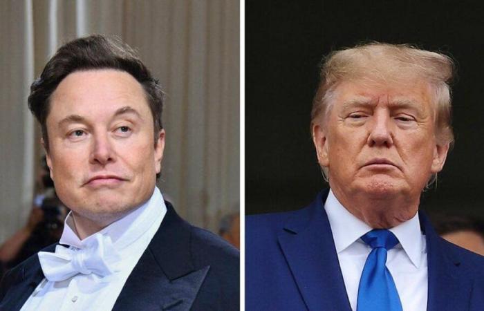 Battle of egos: can the Musk-Trump romance last?