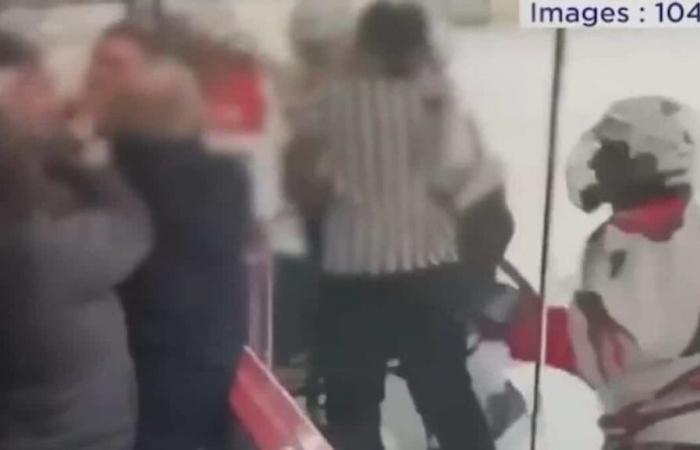 ON VIDEO | Brawl in the stands and 300 minutes of penalties: a hockey match degenerates in Gatineau