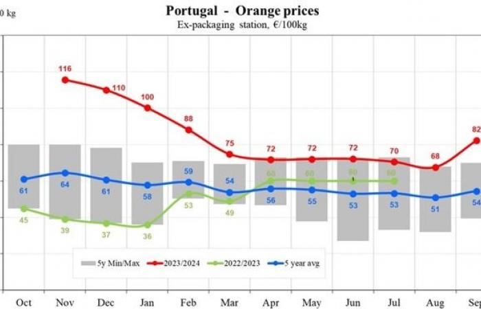 Orange prices in the EU fell by 9.24% in September