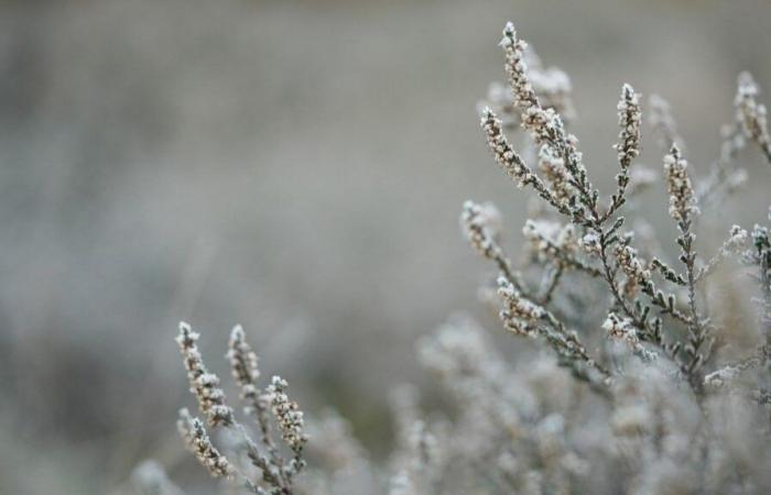 The South West sees its “first taste of winter” as snow falls in Bristol | News