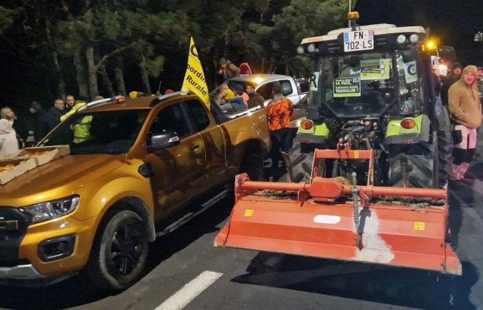 VIDEO. “I am not a beggar, I want to live from my work”: farmers left Béziers to block the Spanish border