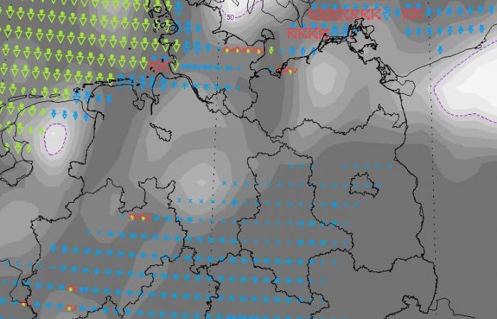 Winter weather: Snow hits northern Germany, storm expected in the south | News