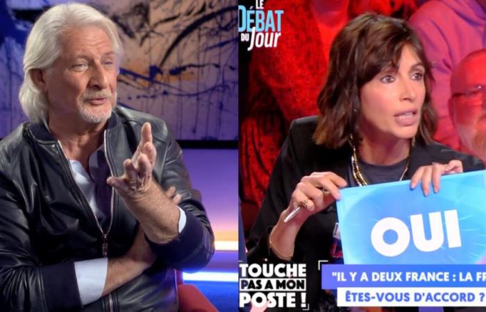 Patrick Sébastien cash on the debates in TPMP: “No more and no less than commercial coffee”