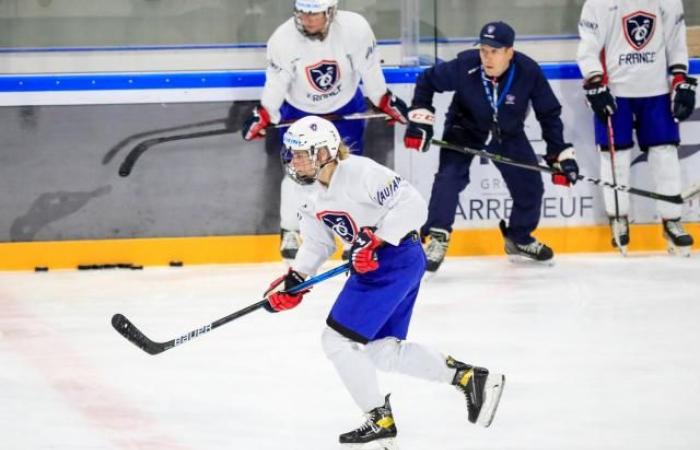 The French team knows its schedule for the World Cup