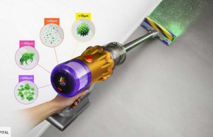 For Black Friday, Dyson is lowering the price of this model by 200 euros