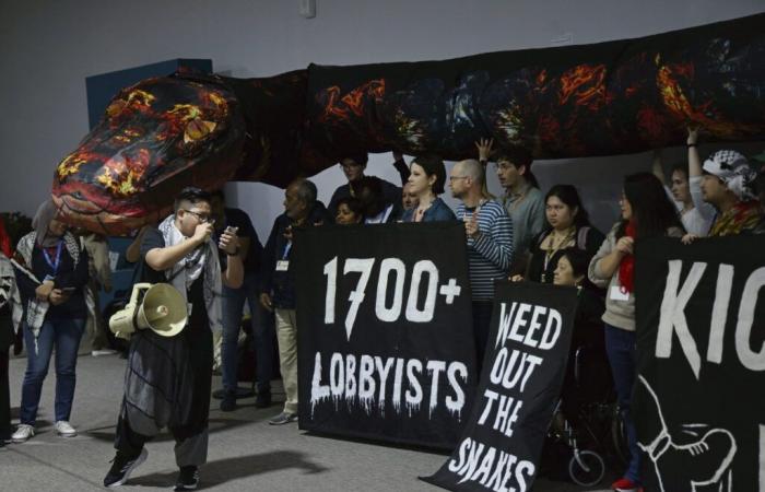 COP29: capitalism and the far right, the pact of arsonists against the climate