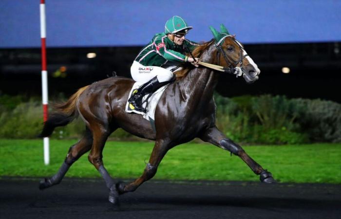 Saturday in Vincennes – Prix Joseph Lafosse (G.II): Jéroboam d’Erable