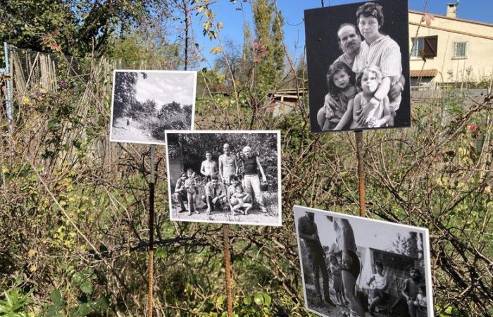 At the Solidarity Gardens in Nîmes, Marc Pataut and the memory of “Those from the field” before the Stade de France