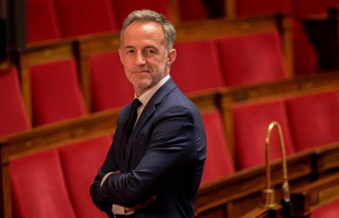 who is Emmanuel Grégoire, the former heir of Anne Hidalgo, who is officially a candidate?