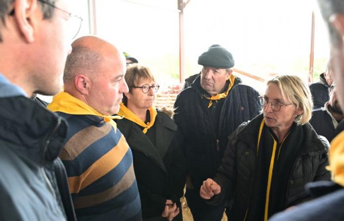 Anger of farmers: “Paralyze and starve Toulouse”? “If it lasts, it could happen”, warns the president of Rural Coordination