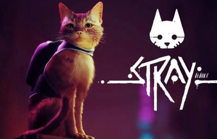 Game of the Day: Stray – a ginger cat's cyberpunk journey into a ruined world is now available on Nintendo Switch.