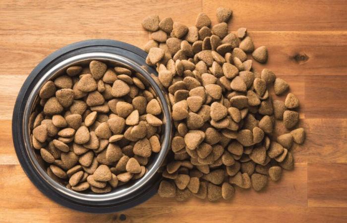 Moroccan brands are trying to find a place in pet food