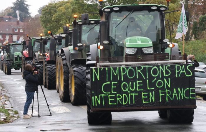 angry farmers take down village signs and mobilize against Mercosur