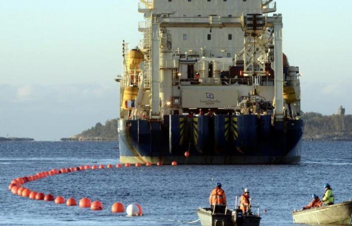 A second telecommunications cable damaged in the Baltic Sea, Germany denounces “sabotage”