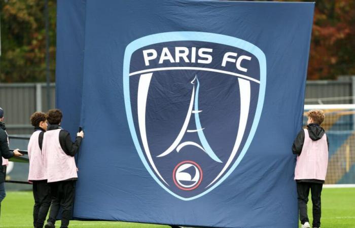 Paris FC: An offensive by the Arnault family in Ligue 1, the truth comes out