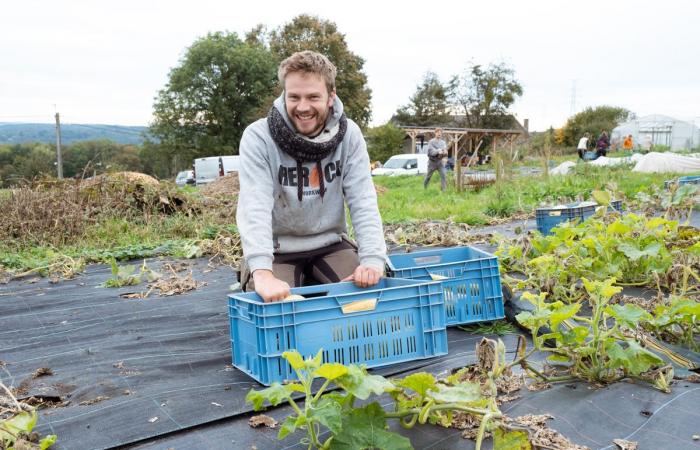 To strengthen peasant agriculture, Belgian volunteers take over the fields