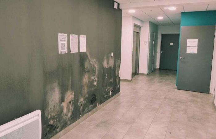 Mold, water infiltration… the caregivers at this health center in Loire-Atlantique are at their wits' end