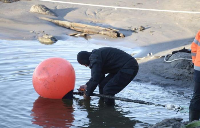 What we know about the rupture of the submarine telecommunications cable linking Finland to Germany