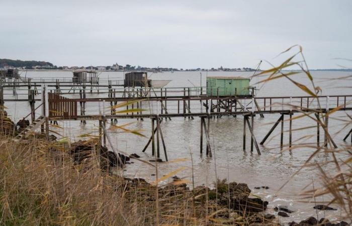 the extension of the Yves marsh nature reserve validated