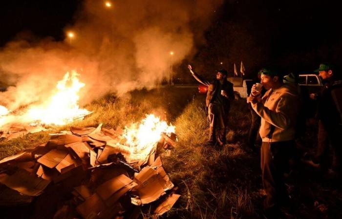 Agricultural crisis: actions planned this Tuesday in the South of Toulouse