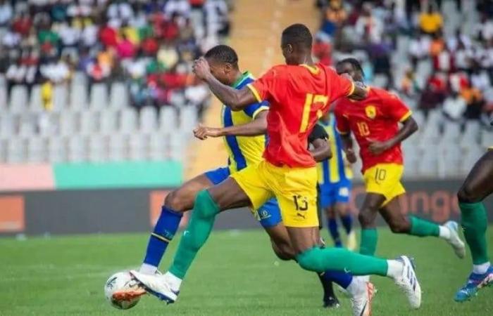 Experience the Tanzania vs Guinea match