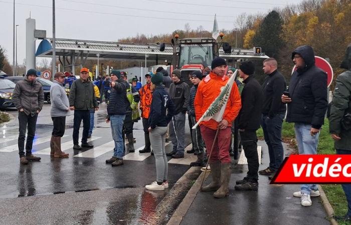 Oise. Farmers screen trucks on highways and check the origin of agri-food goods