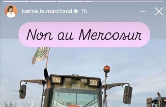 “The anger is in the meadow”, Karine Le Marchand, her big rant on Instagram