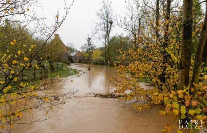 the huge Pairi Daiza animal park is hit by floods