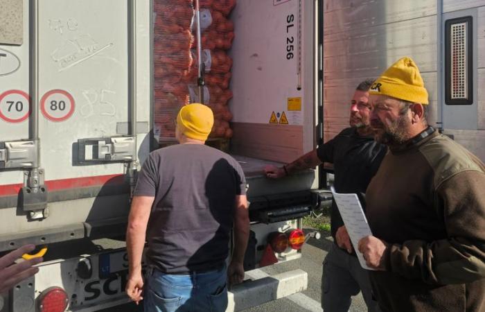 DIRECT. Angry farmers: “We are going to block them, not empty them”, assure the farmers to the first trucks blocked at the Boulou toll on the A9