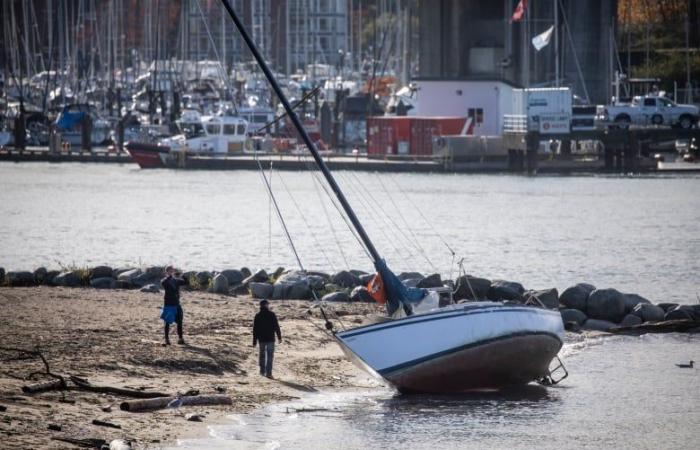 Power outages likely as ‘bomb cyclone’ forms off B.C. coast, meteorologist says