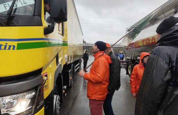 Oise. Farmers screen trucks on highways and check the origin of agri-food goods